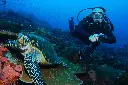 3 Dive Day Trip