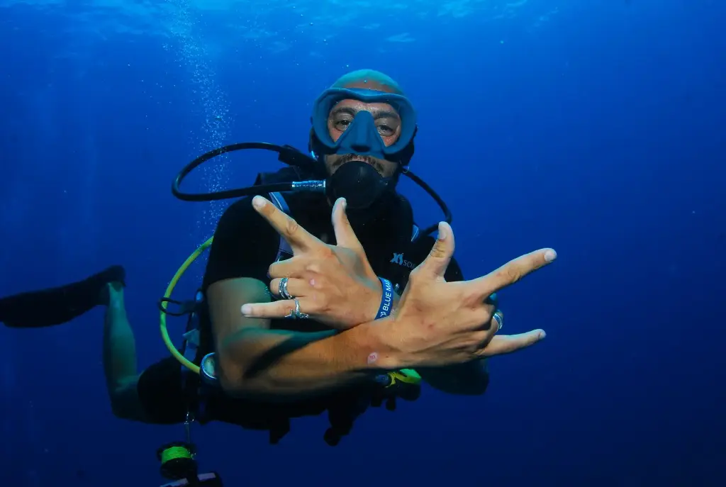 Deep Diver Specialty