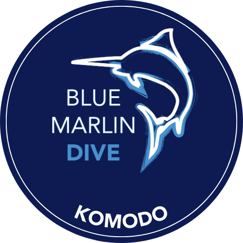 Blue Marlin Dive Komodo